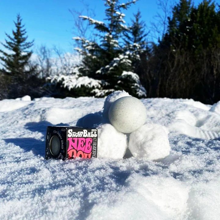 Snowball Crunch NeeDoh®